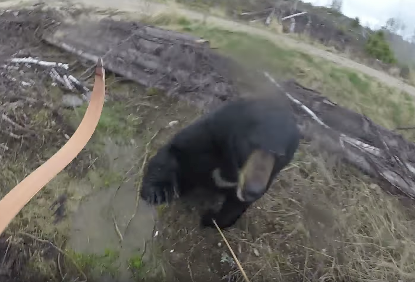 BuzzFeed Canada has reached out to Wesley for comment.