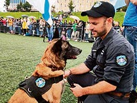 Хен Коэн и Кача 