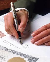 Регистрация обществ с ограниченной ответственностью. Регистрация обществ с ограниченной ответственностью.