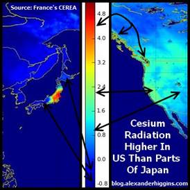 image013.jpg image013.jpg