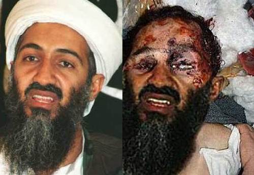 image005.jpg image005.jpg