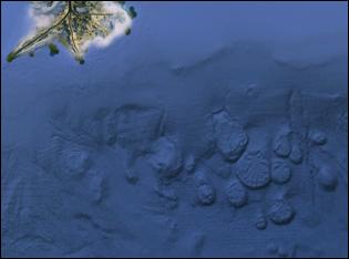 image014.jpg image014.jpg