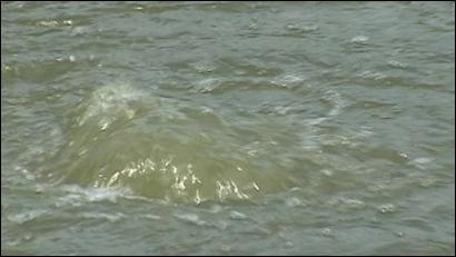 image018.jpg image018.jpg