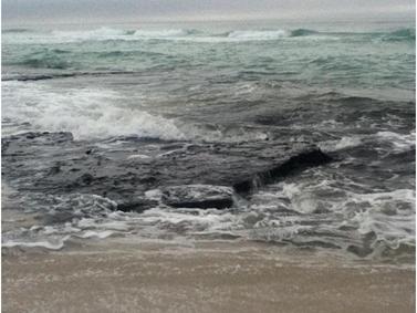 image043.jpg image043.jpg